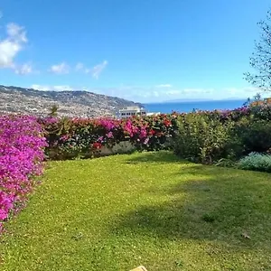 belvedere-boutique.madeira-islandshotels.com/